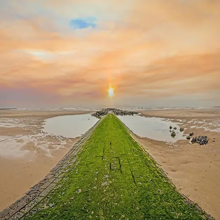 Cozy With Terrace Apartamento *